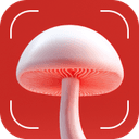 Mushroom Identification logo