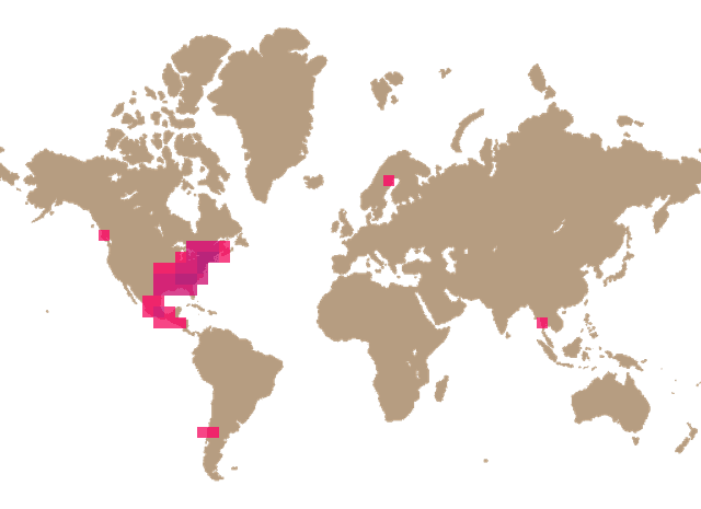 Jackson's amanita (Amanita jacksonii) distribution info