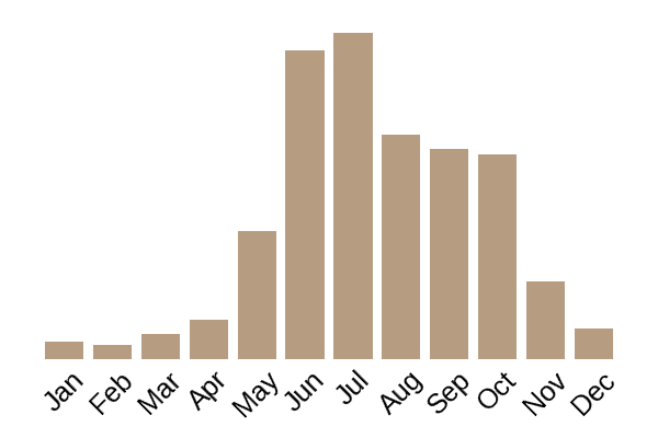 The prince (Agaricus augustus) seasonality info