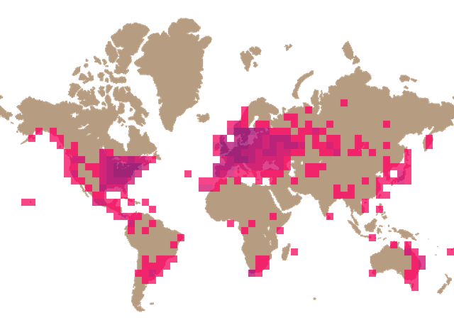 Sulphur shelf (Laetiporus sulphureus) distribution info