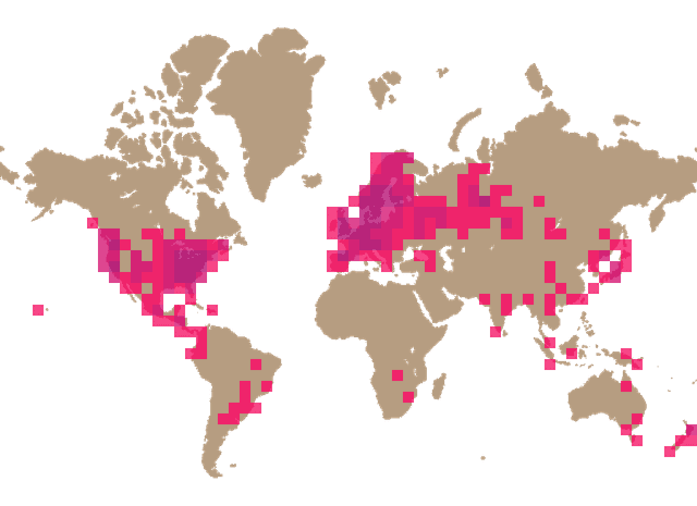 Lung oyster (Pleurotus pulmonarius) distribution info