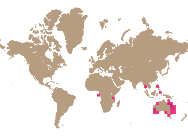 Craypot stinkhorn (Colus pusillus) distribution info