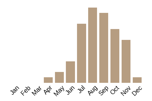 Ivory funnel (Collybia dealbata) seasonality info