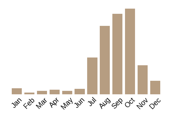 King bolete (Boletus edulis) seasonality info