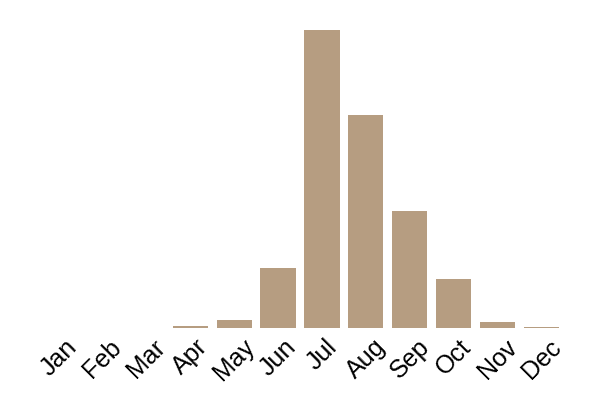 Jackson's amanita (Amanita jacksonii) seasonality info