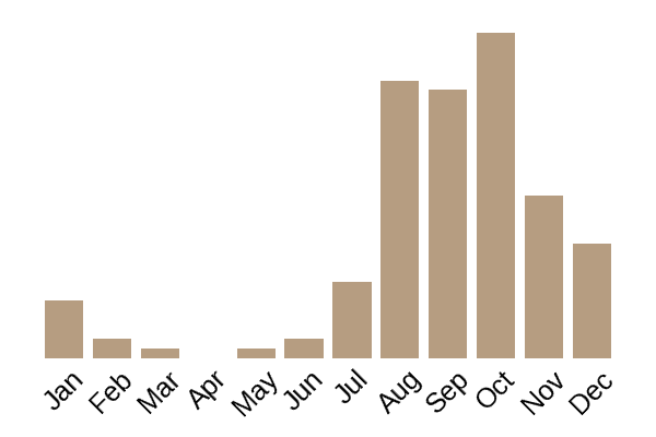 Sweet tooth (Hydnum repandum) seasonality info