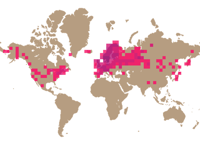 Orange birch bolete (Leccinum versipelle) distribution info