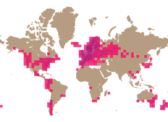 Slippery jack (Suillus luteus) distribution info