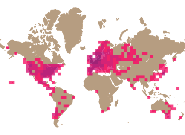Oyster mushroom (Pleurotus ostreatus) distribution info