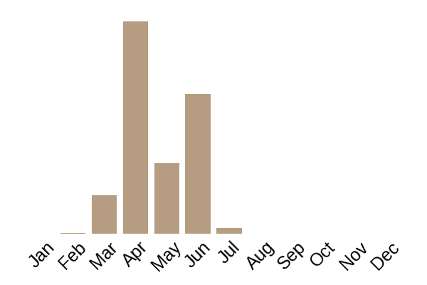 Common morel (Morchella esculenta) seasonality info