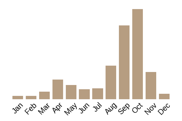 Slippery jack (Suillus luteus) seasonality info