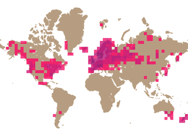 Brown birch bolete (Leccinum scabrum) distribution info