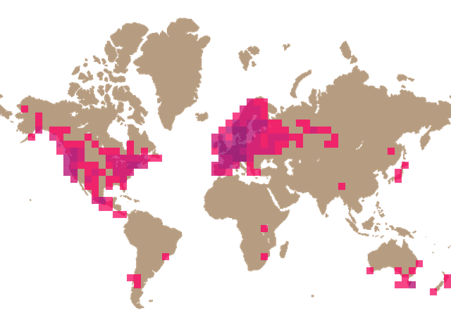 False chanterelle (Hygrophoropsis aurantiaca) distribution info