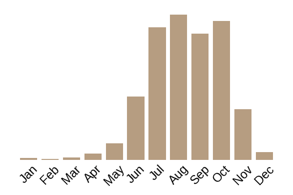Blusher (Amanita rubescens) seasonality info