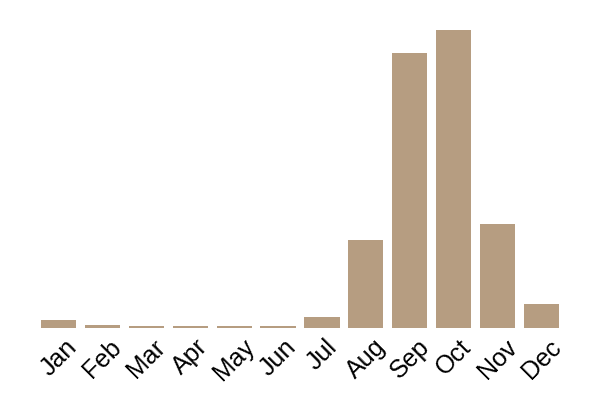 Cauliflower fungus (Sparassis crispa) seasonality info