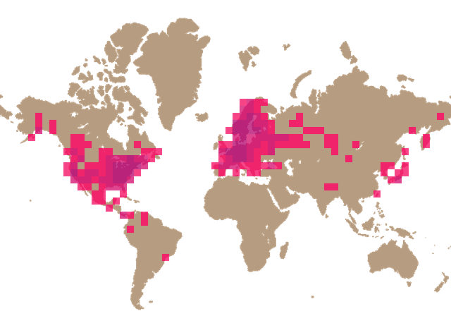 Mock oyster (Phyllotopsis nidulans) distribution info