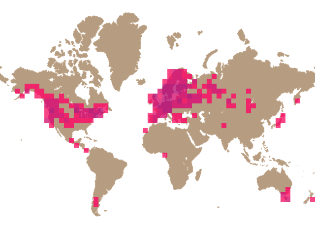 False morel (Gyromitra esculenta) distribution info