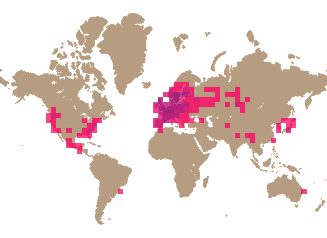 Cauliflower fungus (Sparassis crispa) distribution info