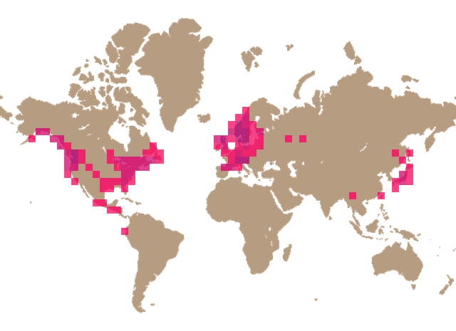 Angel's wings (Pleurocybella porrigens) distribution info