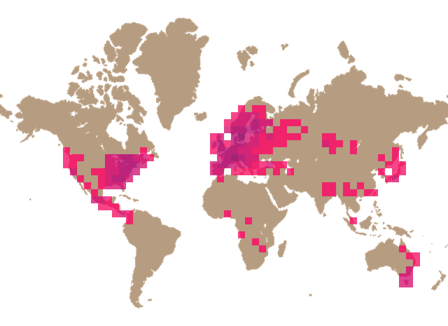 Horn of plenty (Craterellus cornucopioides) distribution info