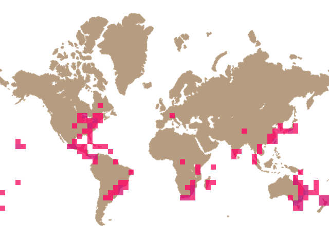 Scruffy scalycap (Cyptotrama asprata) distribution info