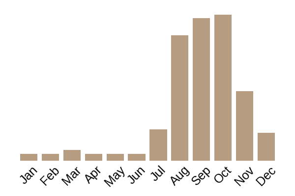 Horn of plenty (Craterellus cornucopioides) seasonality info