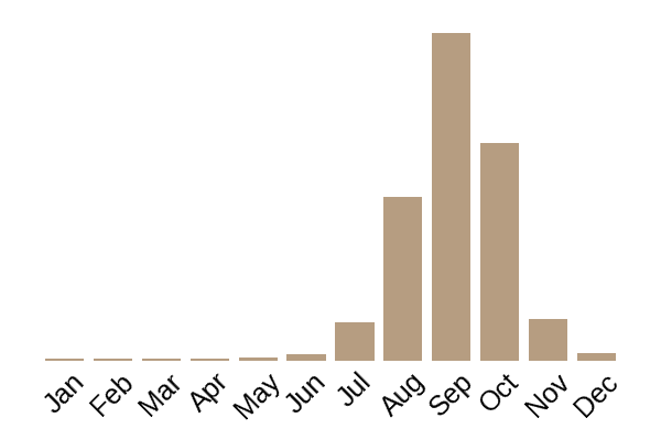 Beefsteak fungus (Fistulina hepatica) seasonality info