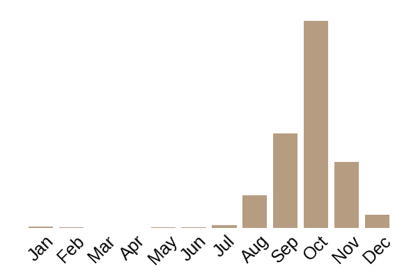 False death cap (Amanita citrina) seasonality info