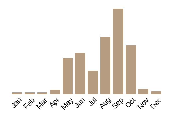 Sulphur shelf (Laetiporus sulphureus) seasonality info