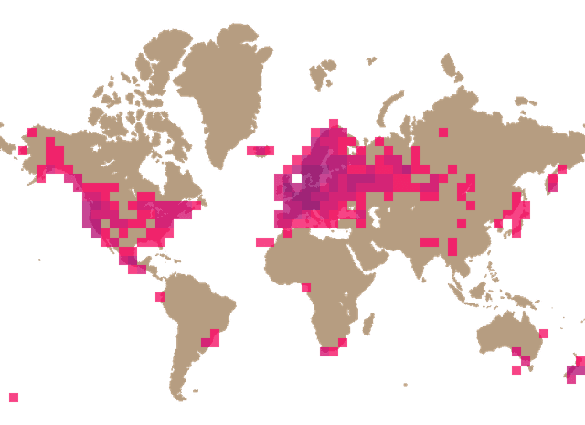 King bolete (Boletus edulis) distribution info